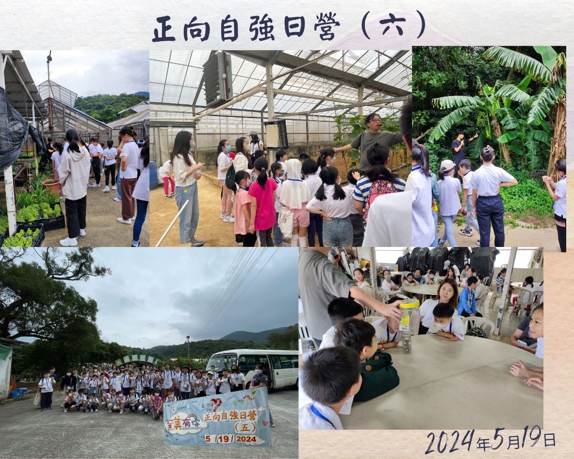 1718760530054.jpg 1718760530054.jpg