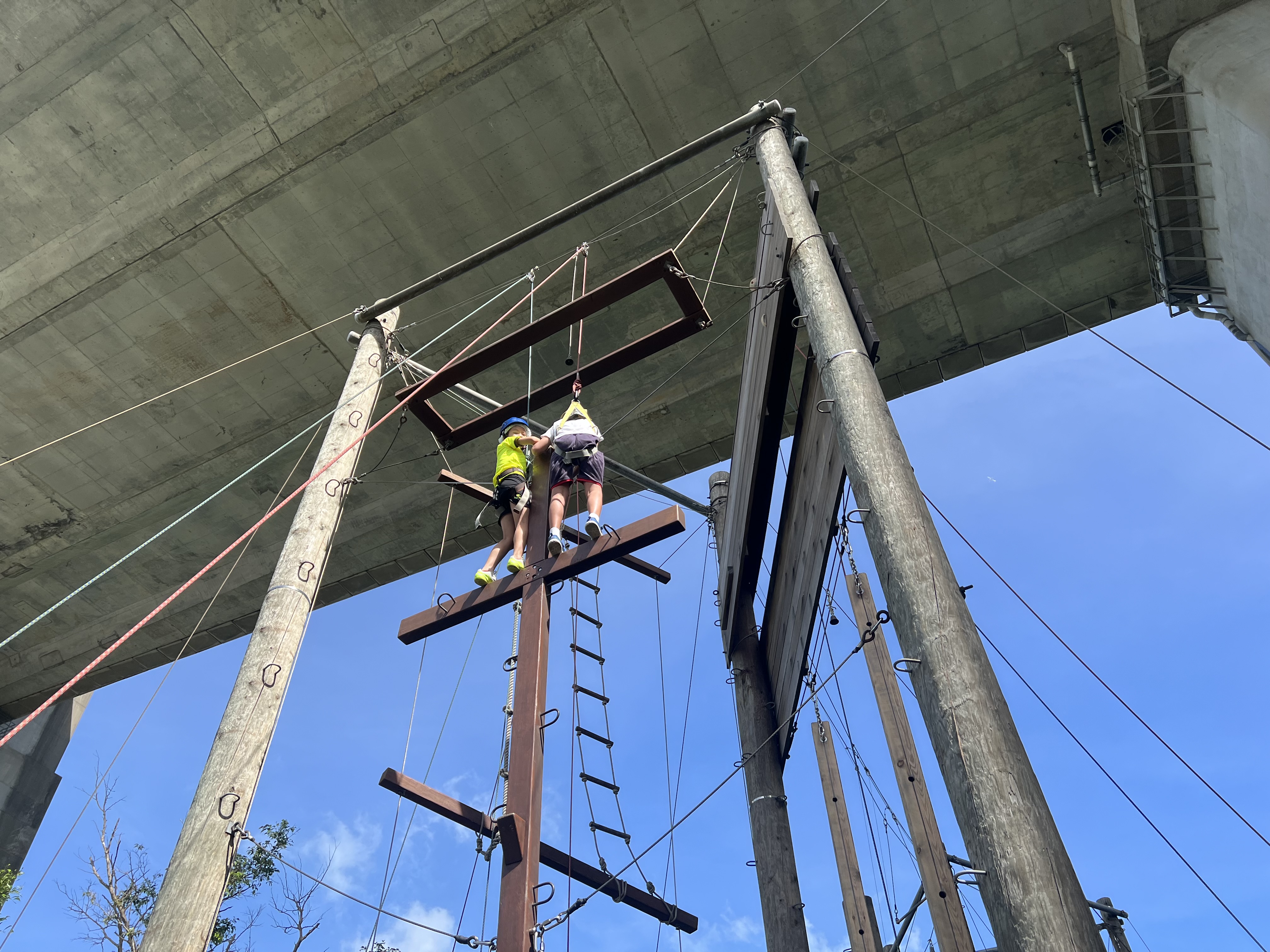 1722066228462.jpg 5.jpg