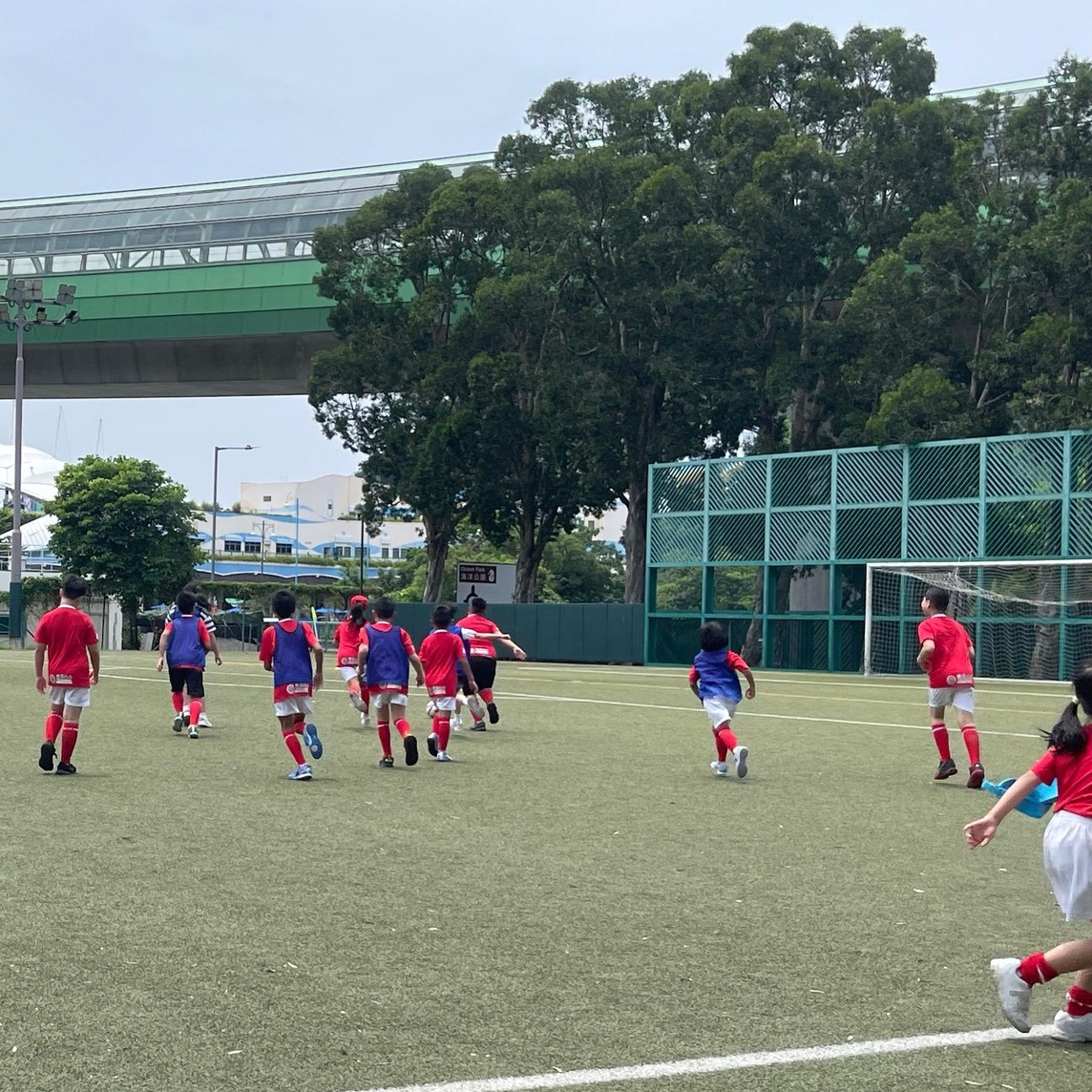 1722331368382.jpg 452676163_935152321989847_7804512542101307824_n.jpg