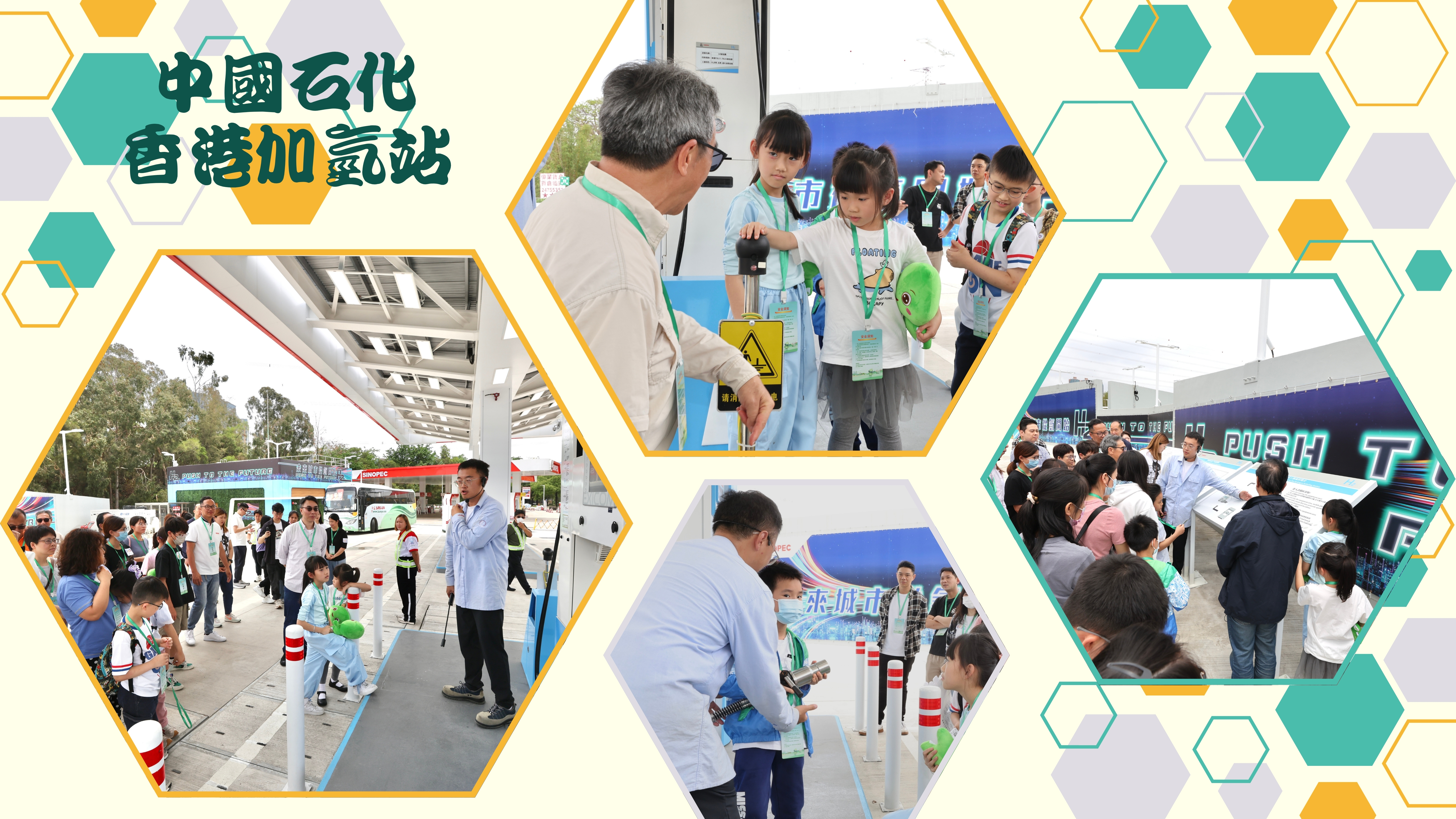 1749458549279.jpg 3.jpg